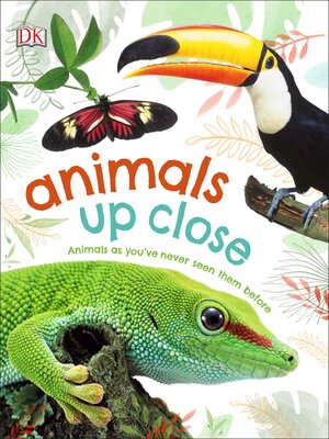 cover image of Animals Up Close